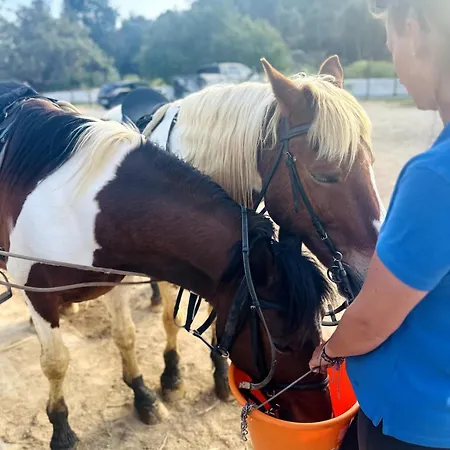 Casinha Do Апартаменты