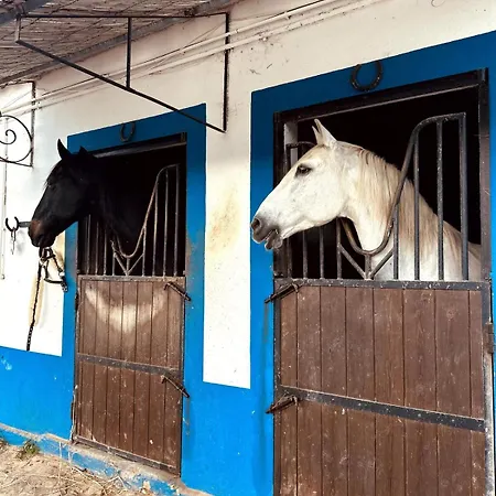 Casinha Do Апартаменты *