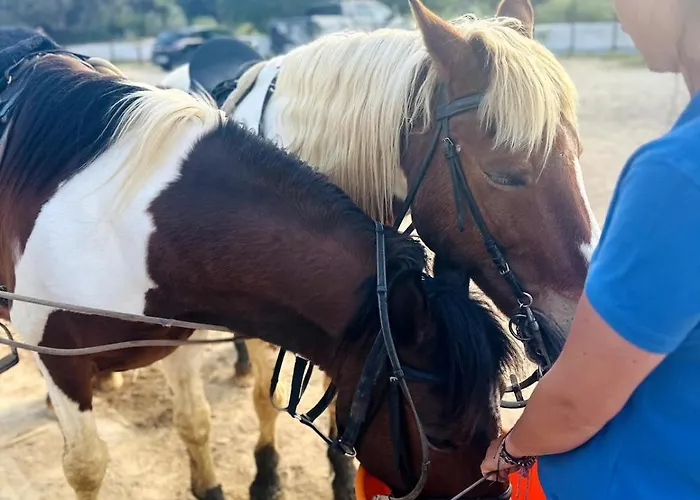 Casinha Do Appartamento