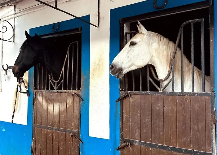 Casinha Do Appartamento *